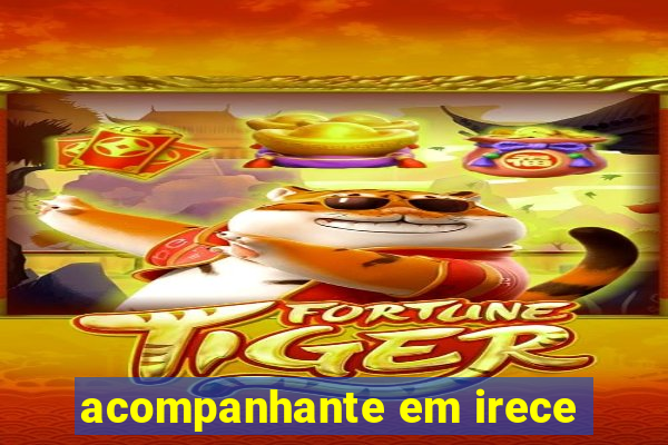 acompanhante em irece